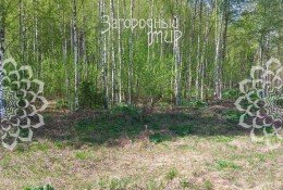 Истра, Бочкино