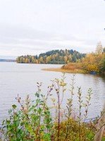 Токсово, Поперечная, 3