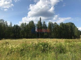 Свекловичное