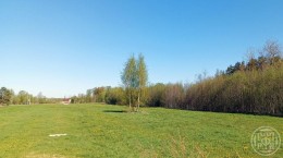 Пчелино
