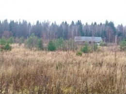 Батурово, Клен