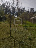 Всеволожск, 2-я