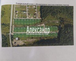 Кипень, Ягодная