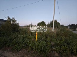 Плинтовка, 43