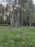 Ногинск, Колонтаево, Новая Слобода, 16