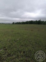 Глухово