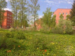 Петергоф, Суворовская
