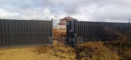 Тайцы, Старшины Козомазова