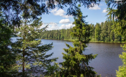 Рощино, Уральский, 1
