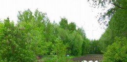 Луховицы, Выкопанка, Советская