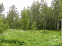 Приладожское