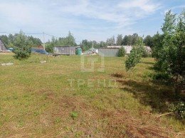 Сосновый Бор, Приозерное, к.нт