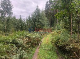 Моторное