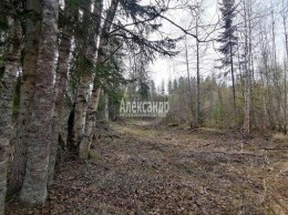 Бурнево