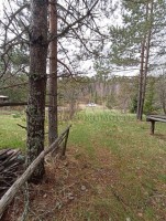 Росинка, к.нт.