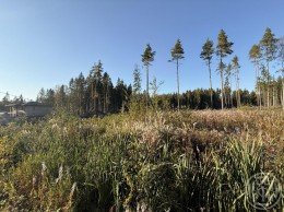 Мертуть, Озерная долина