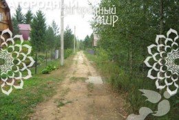 Дмитров, Саввино