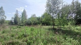 Павловский Посад, Кузнецы