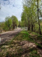 Балтиец, Королевская дорога
