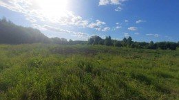 Луховицы, Плешки