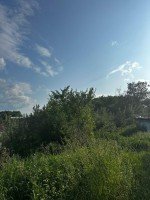 Большевик, Дашковка