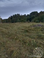Заостровье