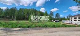 Хязельки, Придорожная