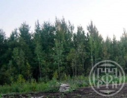 Всеволожск