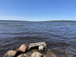 Прибылово, Лебединая