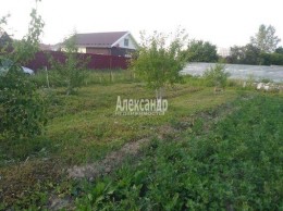Вблизи д.Малое Карлино в/г 8