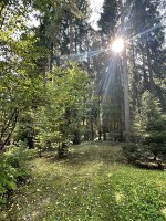 Мытищи, Троицкое, Мытищинская, 7 литер а