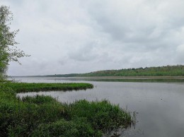 Синицыно