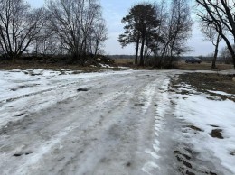 Сырковицы