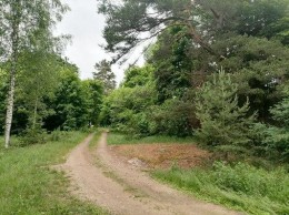 Яшино, Бусловская