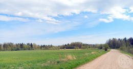 Борки