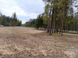 Рощино, Круговая
