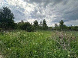 Наро-Фоминск, Новинское