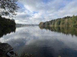 Кузнечное, Большая Боровская