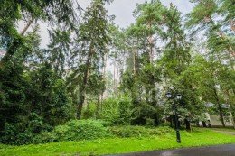 Красногорск, Петрово-Дальнее