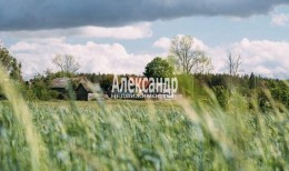 Летошицы