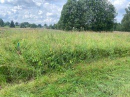 Большие Озертицы, 24