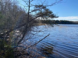 Овсяное, Нахимовская