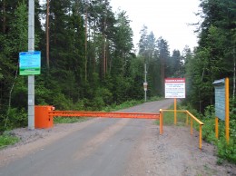 Грузино, Витязь