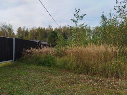Орехово-Зуево, Малая Дубна