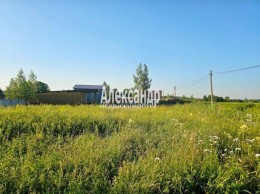 Орбита, 433