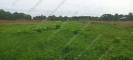 Можайск, Борисово