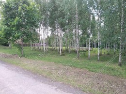 Лисавино