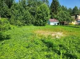 Мелиоратор