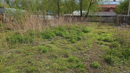 Люберцы, Зеленая зона