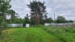Бор, 18